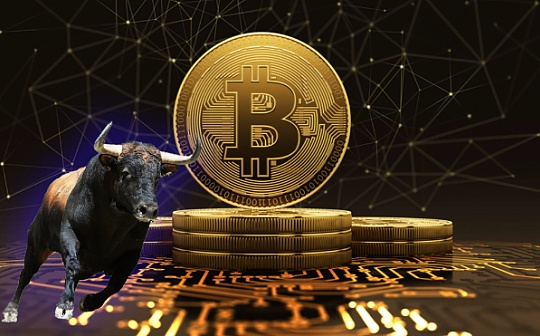 炒币的平台有哪些