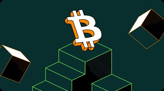 猪币App客户端安卓版 猪币手机交易所安卓版下载-第9张图片-欧易交易所 猪币App客户端安卓版 猪币手机交易所安卓版下载-第9张图片-欧易交易所