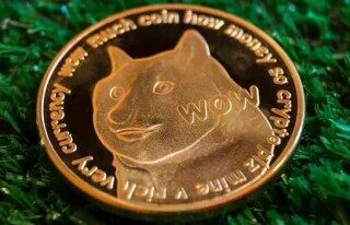 狗币正版手机端下载 狗币官方新版最新下载