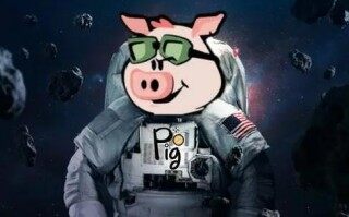 pig币交易所官网下载 pig币下载官网手机版