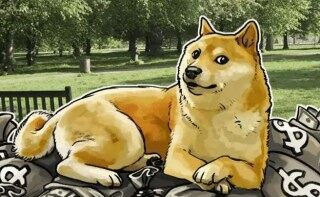 狗币最新版手机端下载 狗狗币官方正版下载