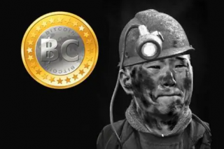 为什么BRC20的铭文会一直涨？