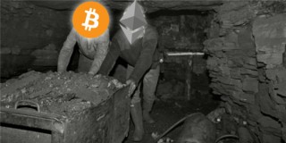 奇亚币价格最新消息(奇亚币最近价格