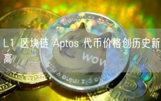 L1 区块链 Aptos 代币价格创历史新高