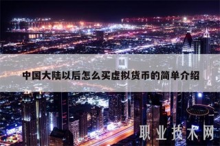 中国大陆以后怎么买虚拟货币的简单介绍