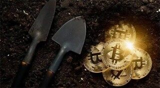 SHIB会不会成为主流币(SHIB会不会成为主流币）