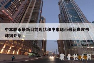 中本聪币最新目前现状和中本聪币最新白皮书详细介绍