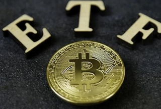 比特币是否已见顶?下一个热点会在哪个版块?