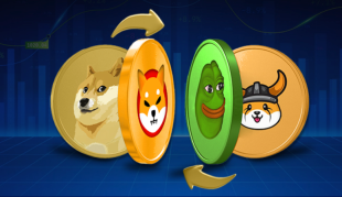 什么是meme币?核心特性、市场地位与未来趋势分析 - 币圈网